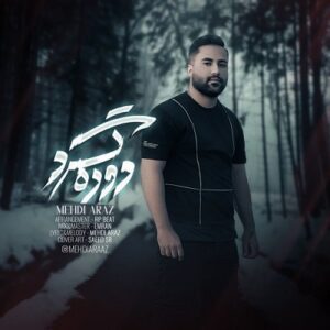 دانلود آهنگ جدید مهدی آراز دوره گرد همراه با متن lyrics