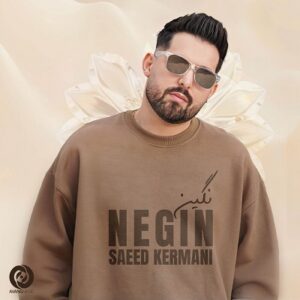 دانلود آهنگ جدید سعید کرمانی نگین