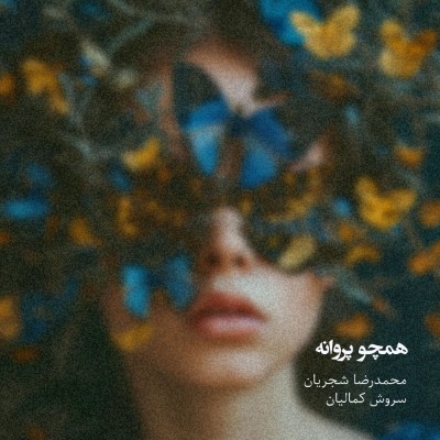 دانلود آهنگ جدید سروش کمالیان و‌ محمدرضا شجریان همچو پروانه