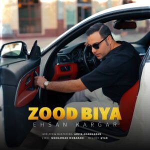 دانلود آهنگ جدید احسان کارگر زود بیا همراه با متن lyrics