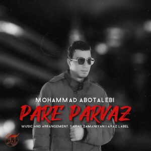 دانلود آهنگ جدید محمد ابوطالبی پر پرواز
