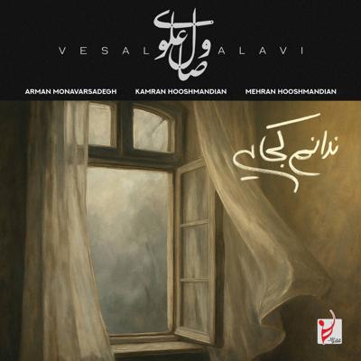 دانلود آهنگ جدید وصال علوی ندانم کجایی