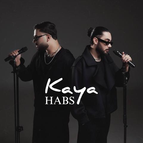 حبس