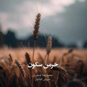 دانلود آهنگ جدید سروش کمالیان خرمن سکوت (همراه محمدرضا شجریان)