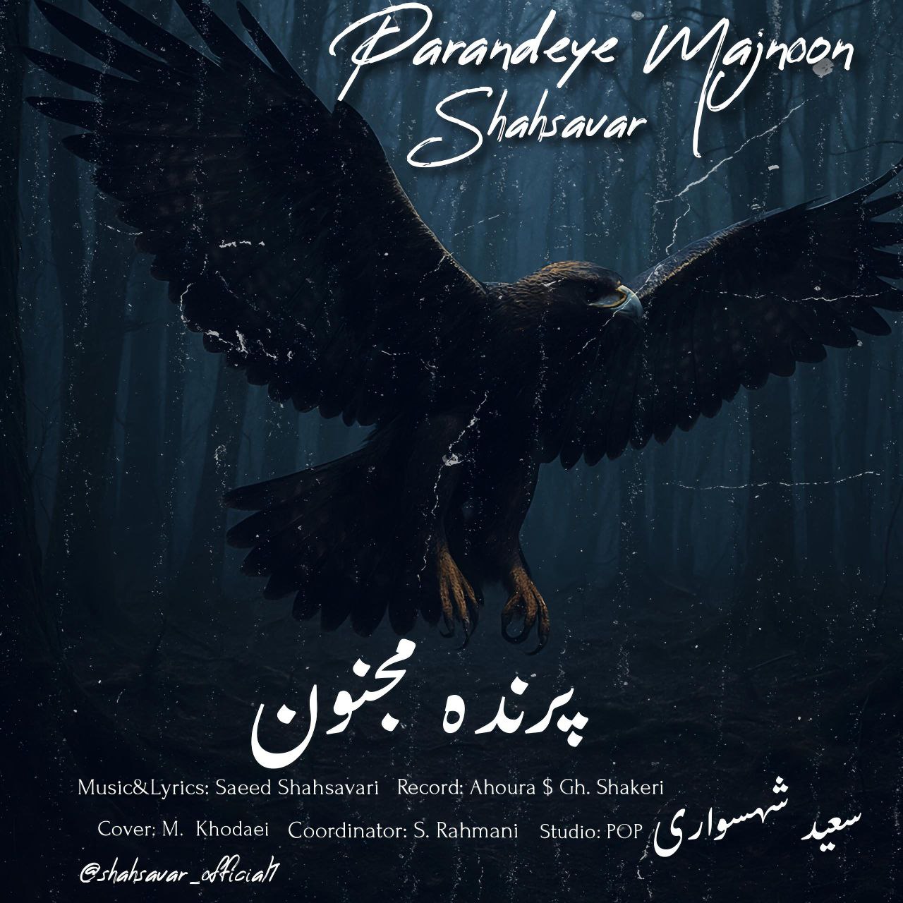 پرنده مجنون