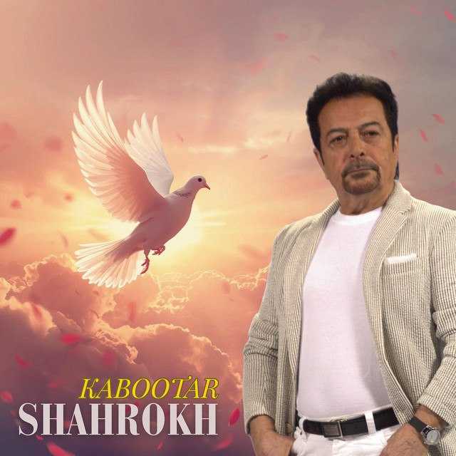 دانلود آهنگ جدید شاهرخ کبوتر