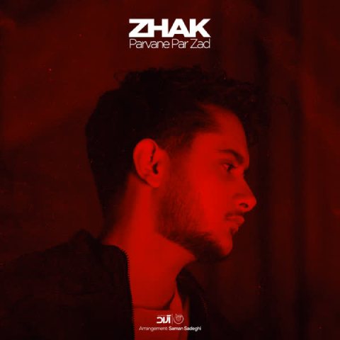 پروانه پر زد