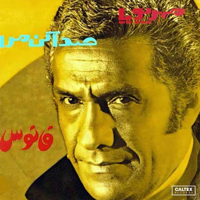دیوانه بود این دل