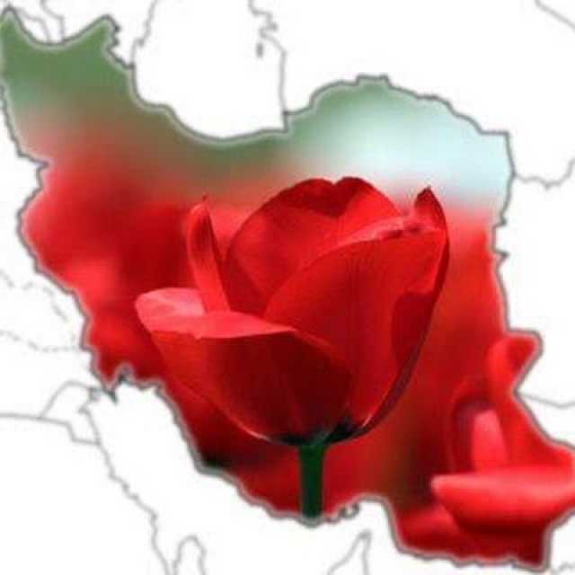 مهر وطن ( دل ز وطن بریده ای )