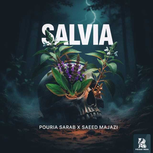 سالویا ( همراه سعید مجازی )