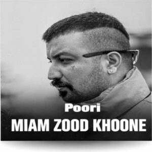 دانلود آهنگ جدید پوری میام زود خونه