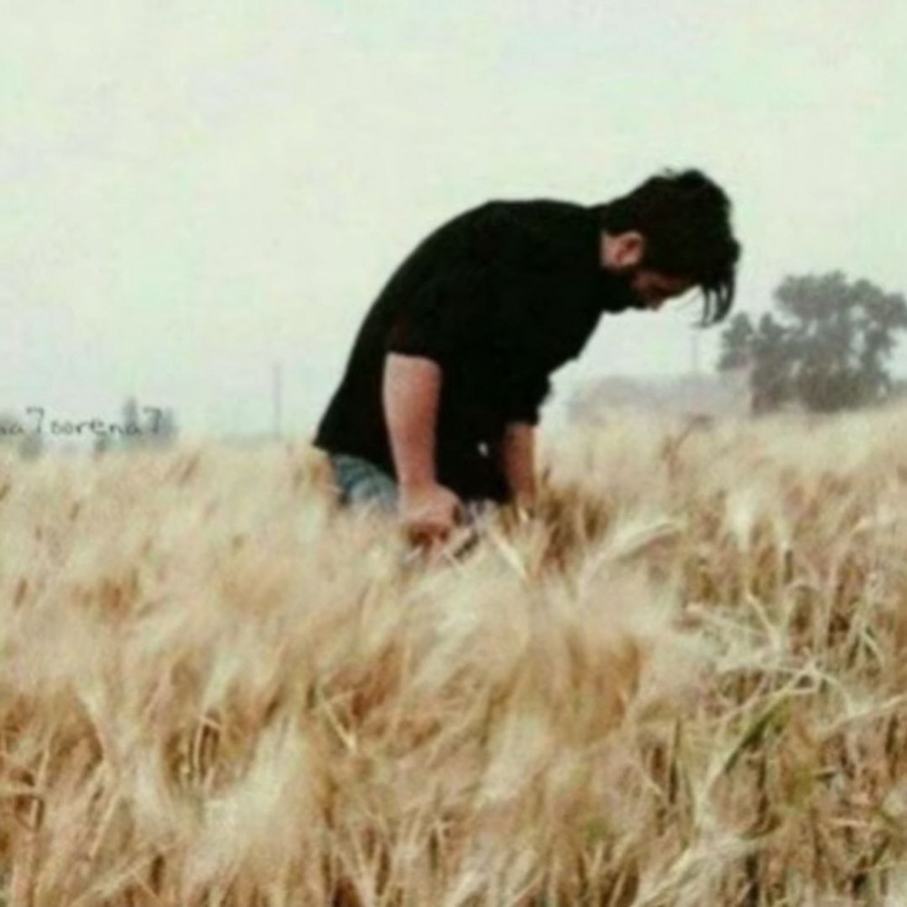 جاوید نامان