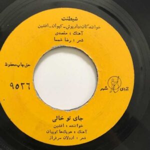دانلود آهنگ افشین مقدم جای تو خالی + همراه متن