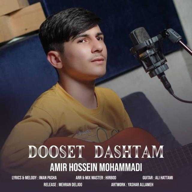 دانلود آهنگ جدید امیر حسین محمدی دوست داشتم