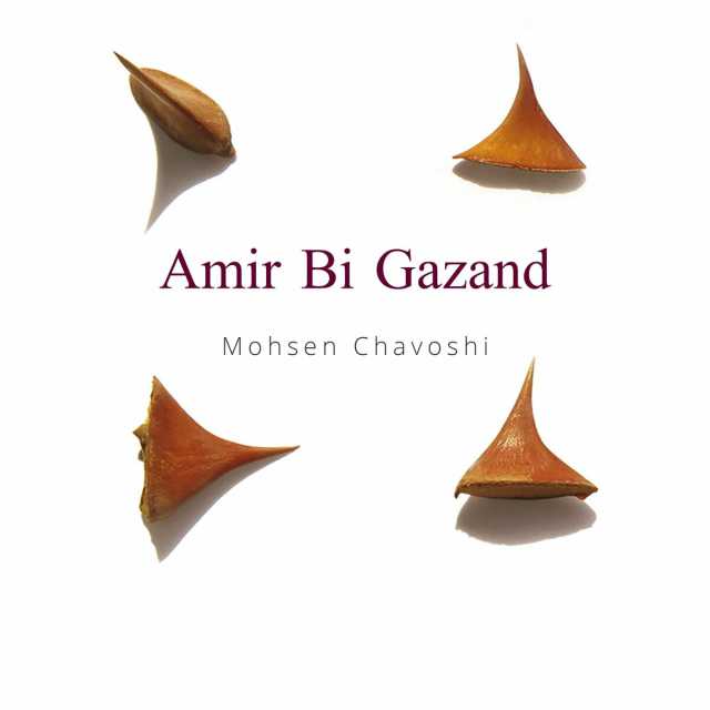 دانلود آهنگ محسن چاوشی جنگ زده + همراه متن