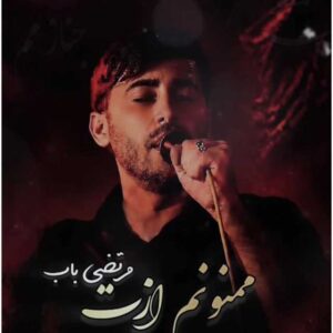 دانلود آهنگ جدید مرتضی باب ممنونم ازت ( ویژه اربعین )