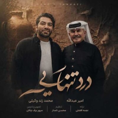 درد تنهایی ( همراه امیر عبدالله )