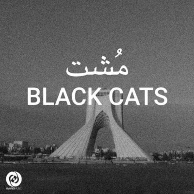 مشت