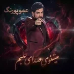 میشنوی صدای قلبم