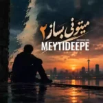 میتونی بساز 02