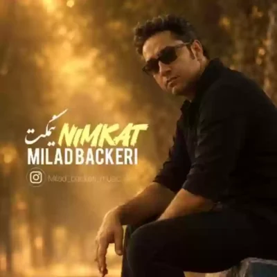 نیمکت از میلاد باکری