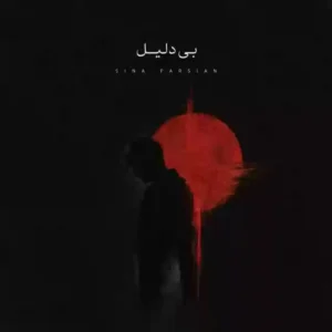 بی دلیل