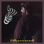 تو اون شام مهتاب کنارم نشستی