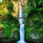 ۰۰۱ بی کلام