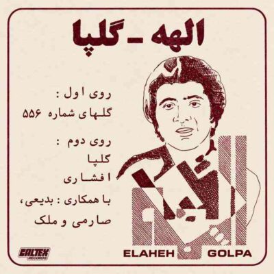 گلهای رنگارنگ از اکبر گلپا