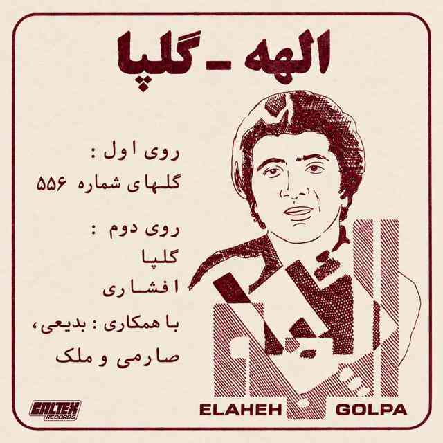 اکبر گلپا گلهای رنگارنگ