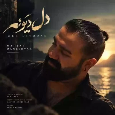 دل دیوونه از مهیار دانشور