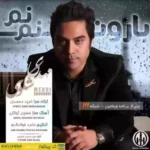 بارون نم نم چتر و خیابون بازم دلم هواتو کرده زیر بارون