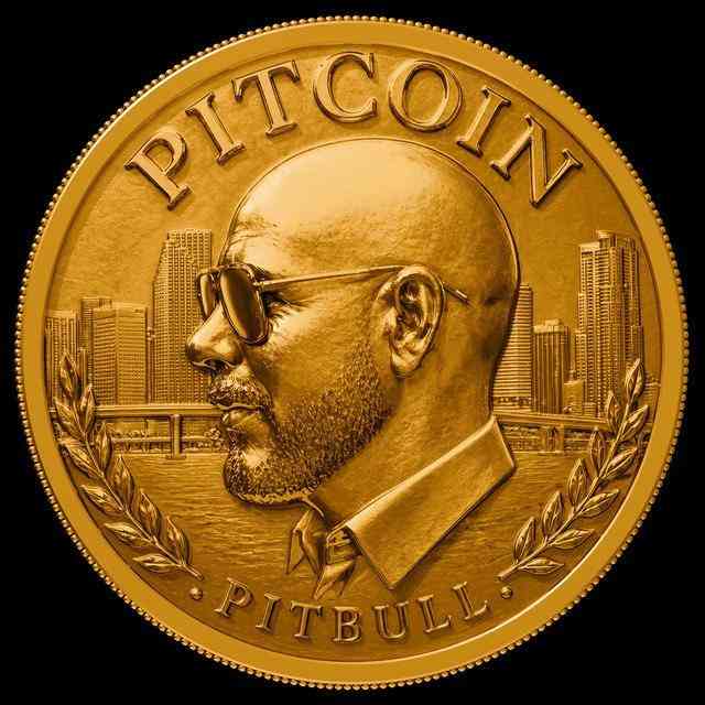 دانلود آلبوم جدید Pitbull پیت کوین ( PITCOIN )