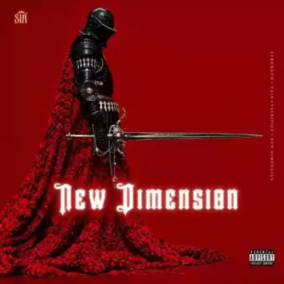 New Dimension از SNX