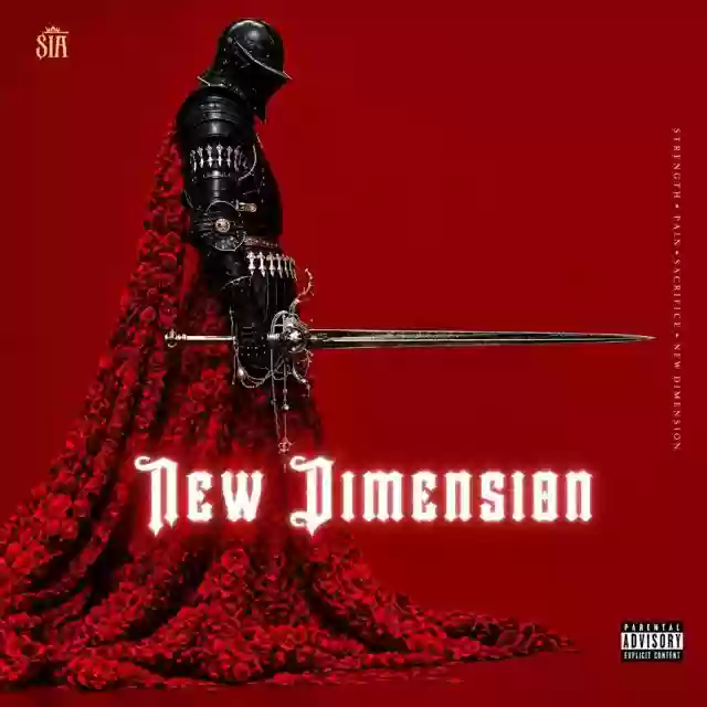 SNX New Dimension